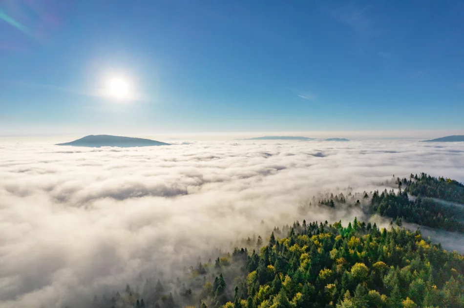 Mglisty poranek w Beskidzie Wyspowym - zdjęcie 15
