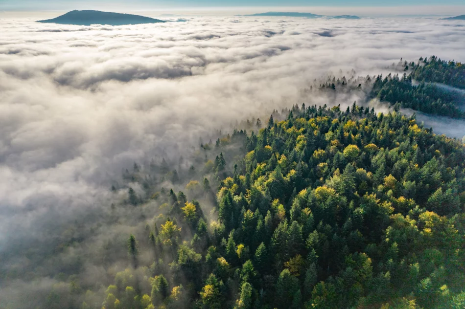 Mglisty poranek w Beskidzie Wyspowym - zdjęcie 16