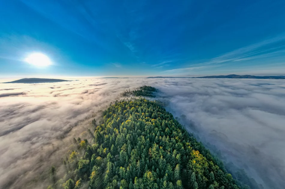 Mglisty poranek w Beskidzie Wyspowym - zdjęcie 18