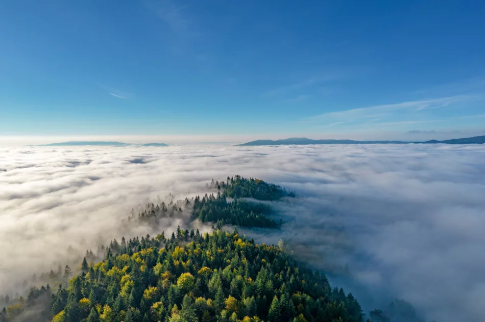 Mglisty poranek w Beskidzie Wyspowym - zdjęcie 19