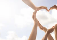 Światowy Dzień Serca. Serce nie zaczeka - zdjęcie główne