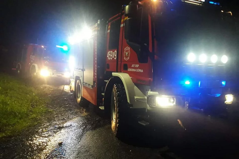 Strażacy podczas interwencji na osiedlu romskim obrzuceni kamieniami - zdjęcie 4