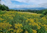 GPN zobaczysz, jeśli zapłacisz - od nowego roku opłaty za wstęp do parku narodowego - zdjęcie główne
