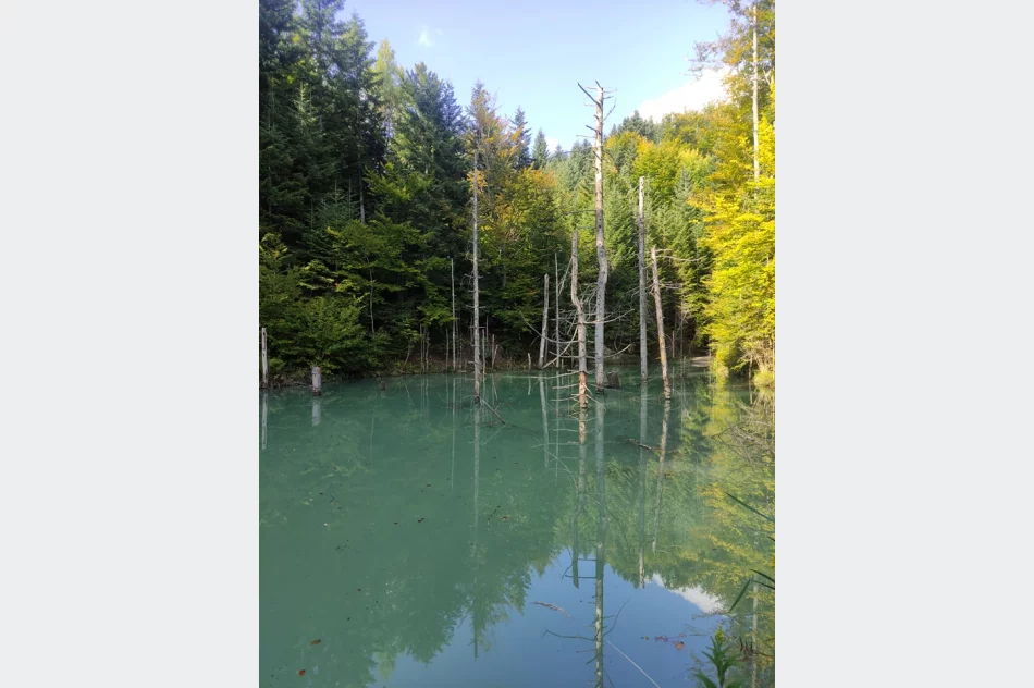 Rajd strzałem w dziesiątkę - zdjęcie 2