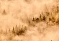 Synoptyczna prognoza pogody na najbliższy weekend - zdjęcie główne