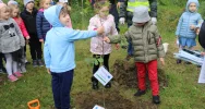 Dąb symbolizujący działania dla ochrony środowiska i klimatu posadzono w Parku Miejskim - zdjęcie 4
