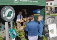 Leśnicy rozdawali darmowe sadzonki - zdjęcie główne