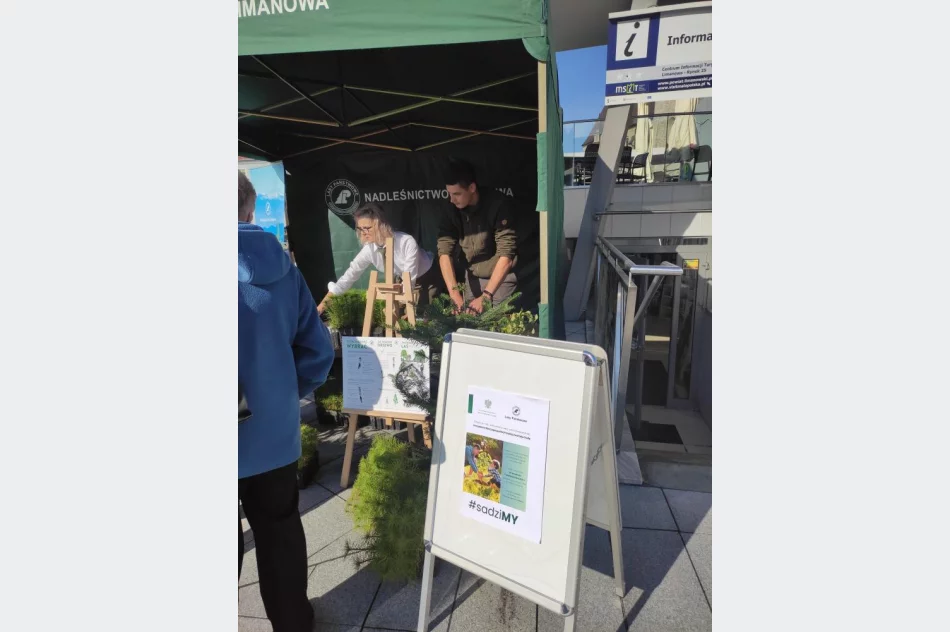 Leśnicy rozdawali darmowe sadzonki - zdjęcie 2