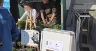 Leśnicy rozdawali darmowe sadzonki - zdjęcie 2