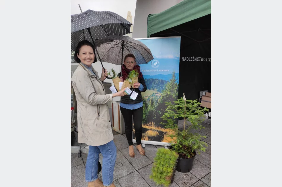 Leśnicy rozdawali darmowe sadzonki - zdjęcie 3