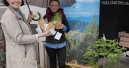 Leśnicy rozdawali darmowe sadzonki - zdjęcie 3