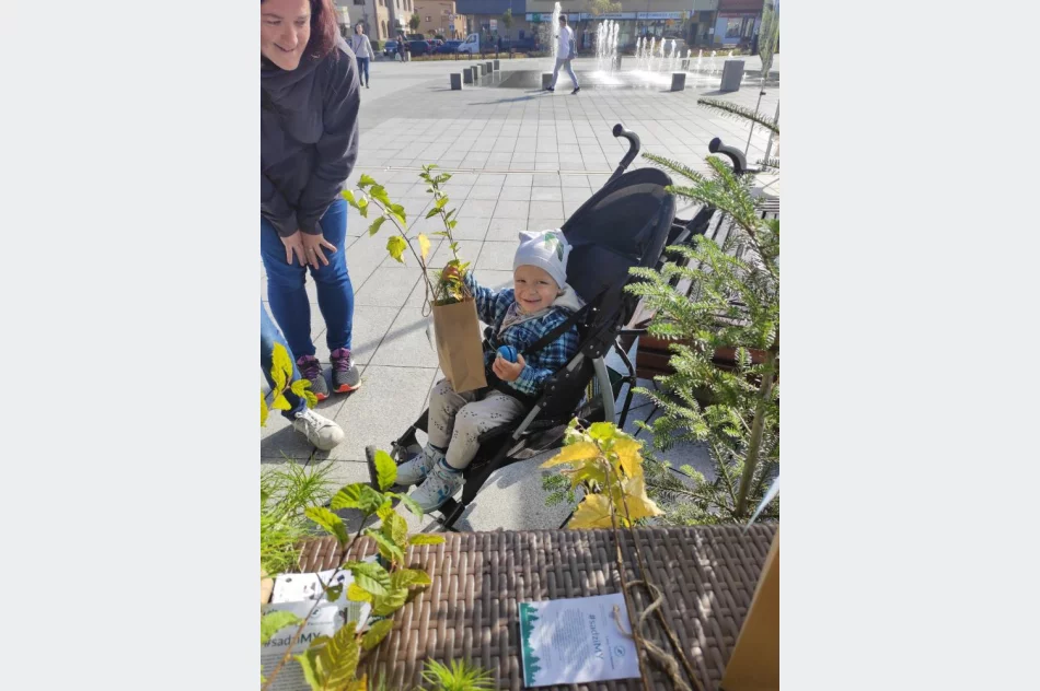 Leśnicy rozdawali darmowe sadzonki - zdjęcie 4