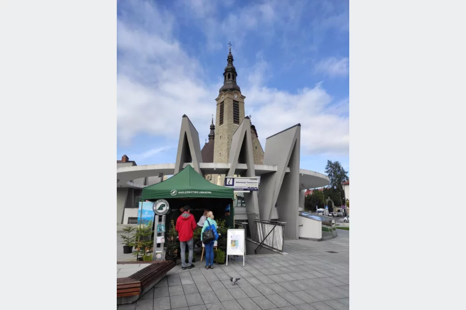 Leśnicy rozdawali darmowe sadzonki - zdjęcie 6