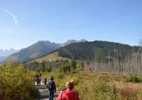 Weekendowa wycieczka na Podhale - zdjęcie główne