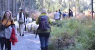 Weekendowa wycieczka na Podhale - zdjęcie 2