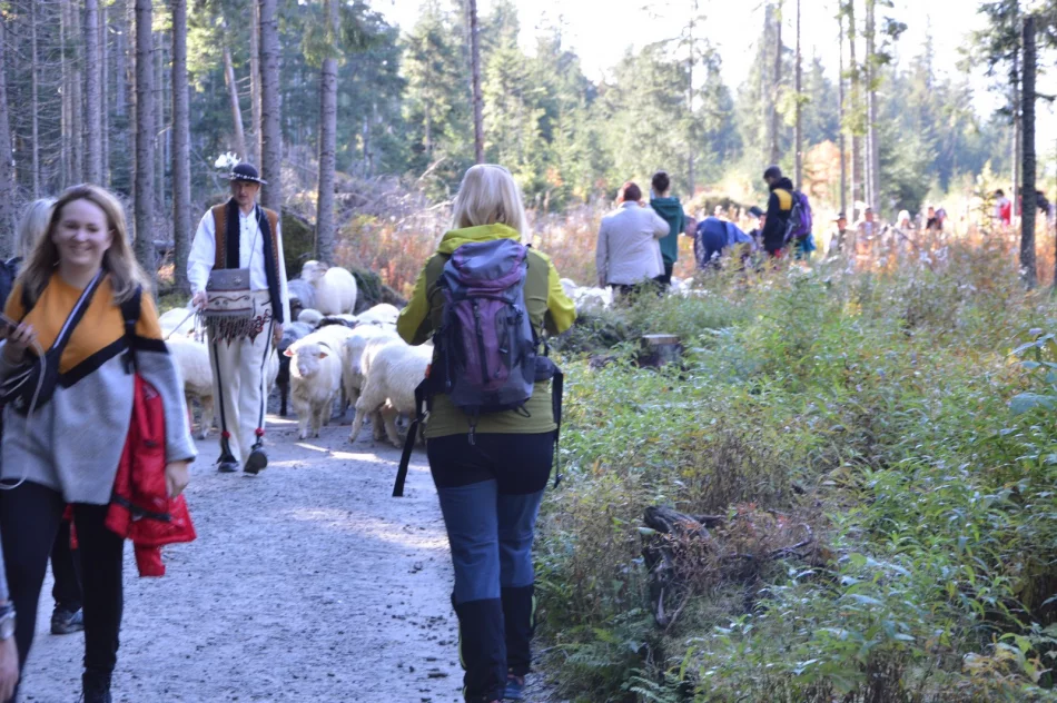 Weekendowa wycieczka na Podhale - zdjęcie 2