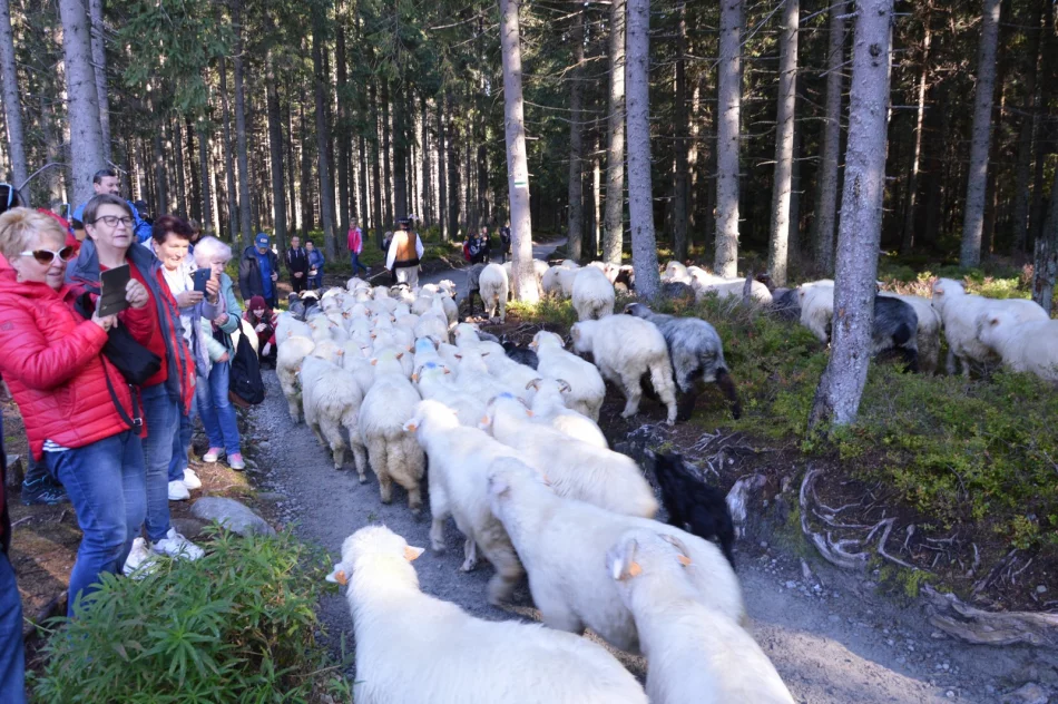 Weekendowa wycieczka na Podhale - zdjęcie 3