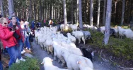 Weekendowa wycieczka na Podhale - zdjęcie 3