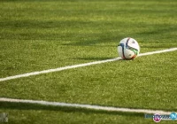 Krokus rozkwitł w Czarnym Dunajcu - zdjęcie główne