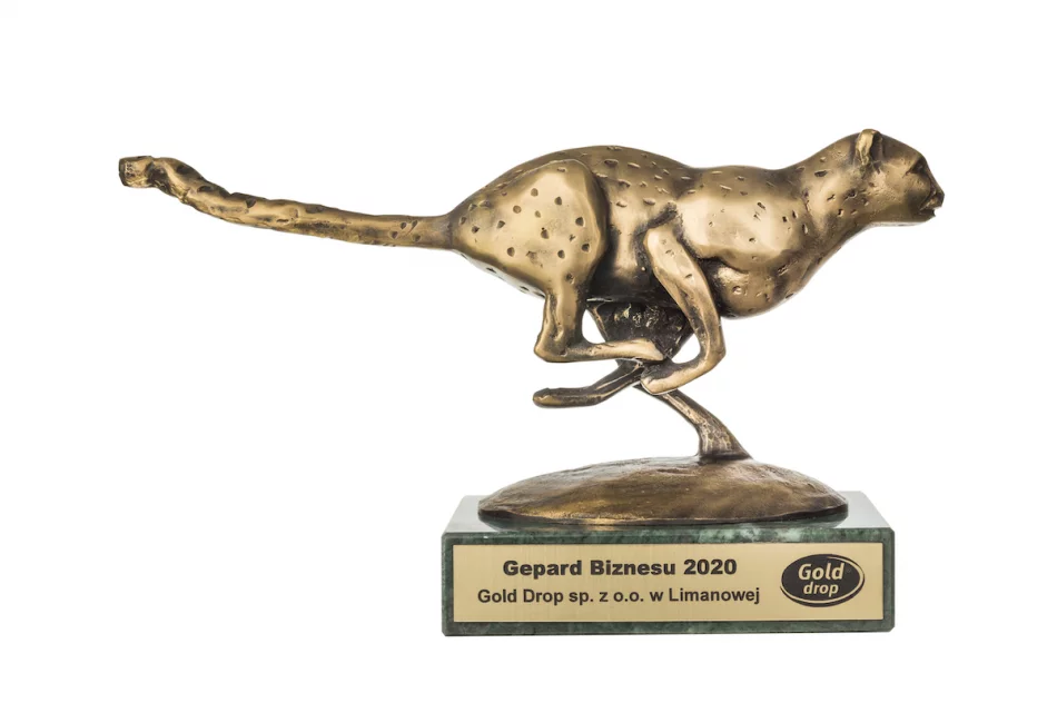 Trzy duże sukcesy firmy GOLD DROP - zdjęcie 4