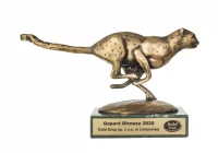 Trzy duże sukcesy firmy GOLD DROP - zdjęcie główne