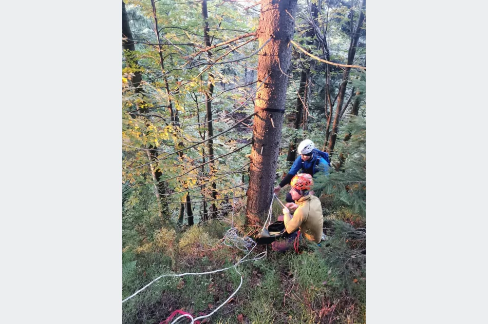 Przyszli ratownicy szkolili się w górach - zdjęcie 2
