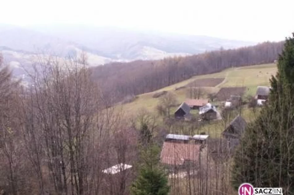 Niedzielni turyści: Hala Łabowska - zdjęcie 4