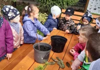 Akcja #sadziMy w Miejskim Przedszkolu nr 1 - zdjęcie główne