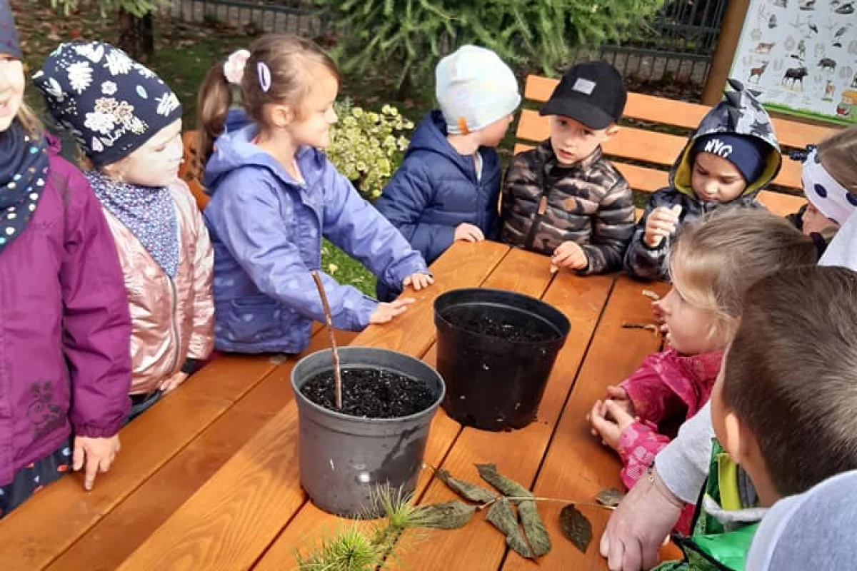 Akcja #sadziMy w Miejskim Przedszkolu nr 1