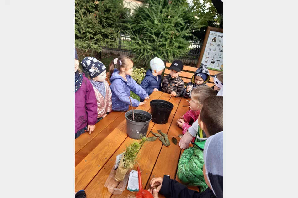 Akcja #sadziMy w Miejskim Przedszkolu nr 1 - zdjęcie 2