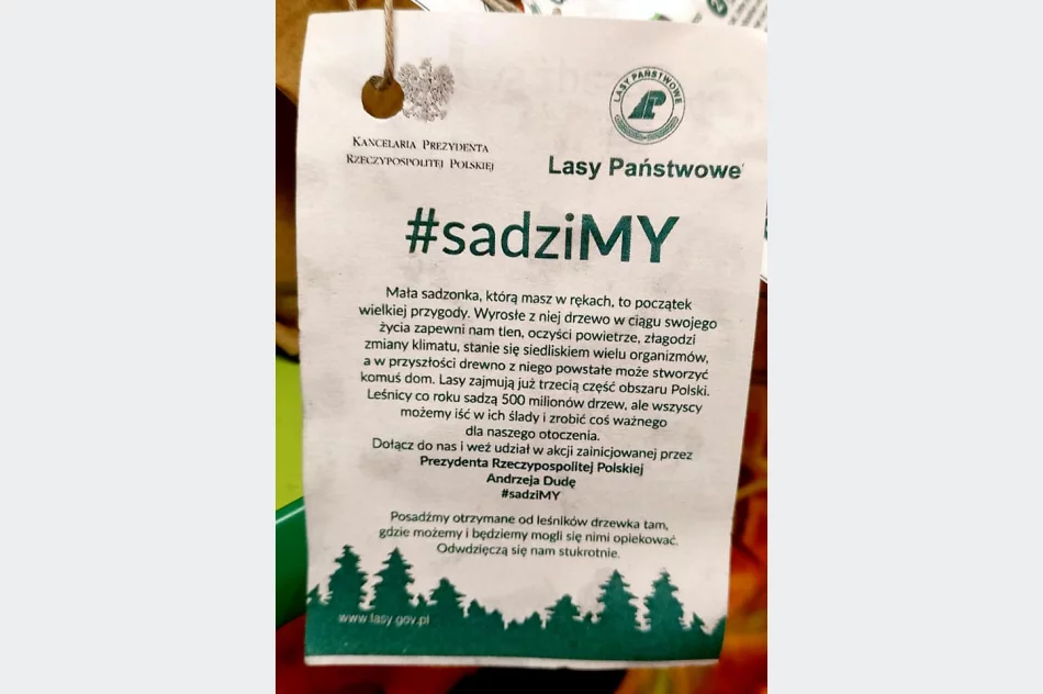 Akcja #sadziMy w Miejskim Przedszkolu nr 1 - zdjęcie 4