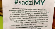 Akcja #sadziMy w Miejskim Przedszkolu nr 1 - zdjęcie 4
