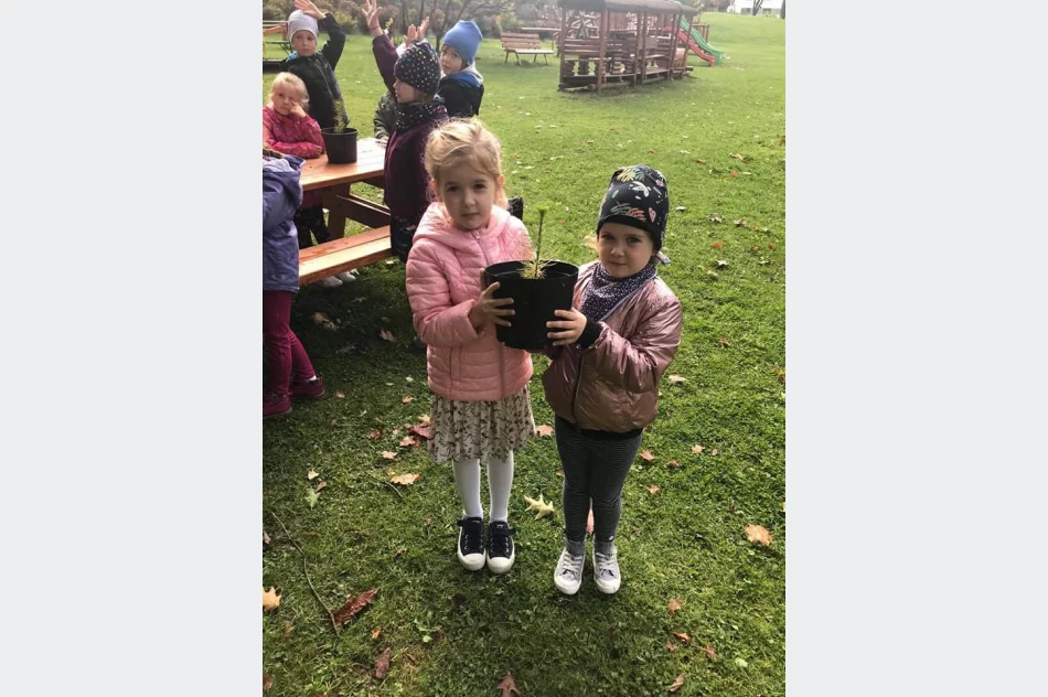 Akcja #sadziMy w Miejskim Przedszkolu nr 1 - zdjęcie 5