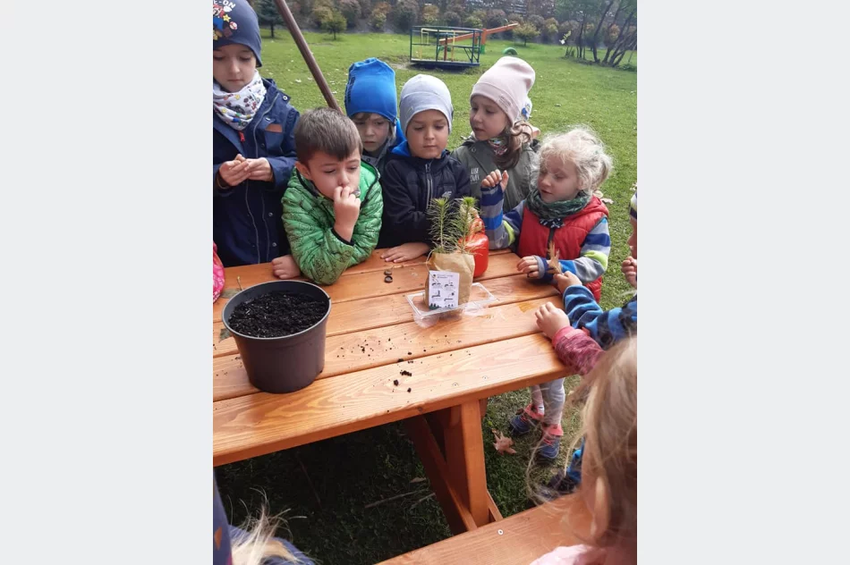 Akcja #sadziMy w Miejskim Przedszkolu nr 1 - zdjęcie 6