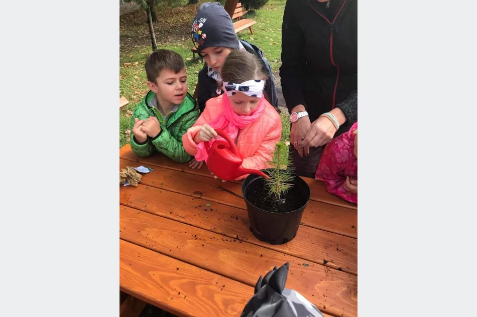 Akcja #sadziMy w Miejskim Przedszkolu nr 1 - zdjęcie 7