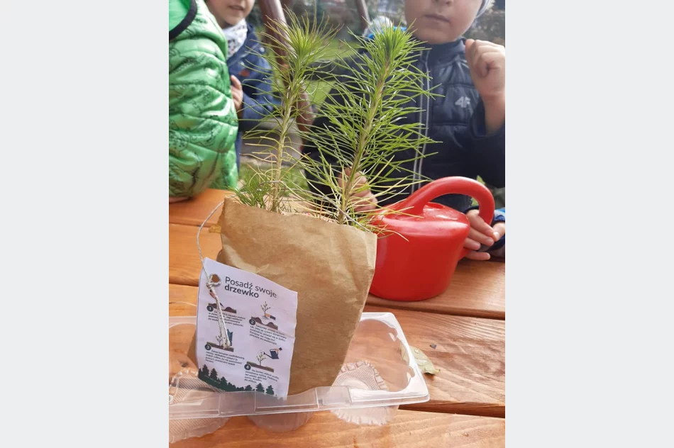 Akcja #sadziMy w Miejskim Przedszkolu nr 1 - zdjęcie 8