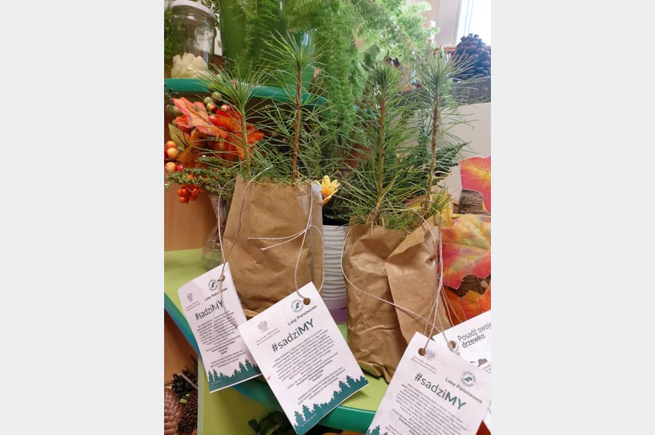 Akcja #sadziMy w Miejskim Przedszkolu nr 1 - zdjęcie 9