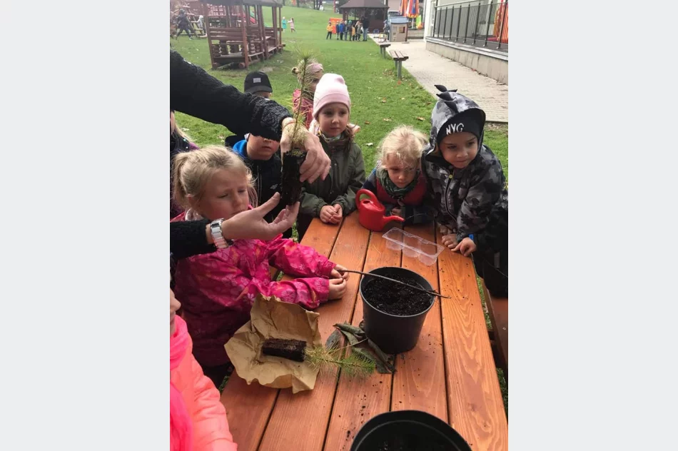 Akcja #sadziMy w Miejskim Przedszkolu nr 1 - zdjęcie 10