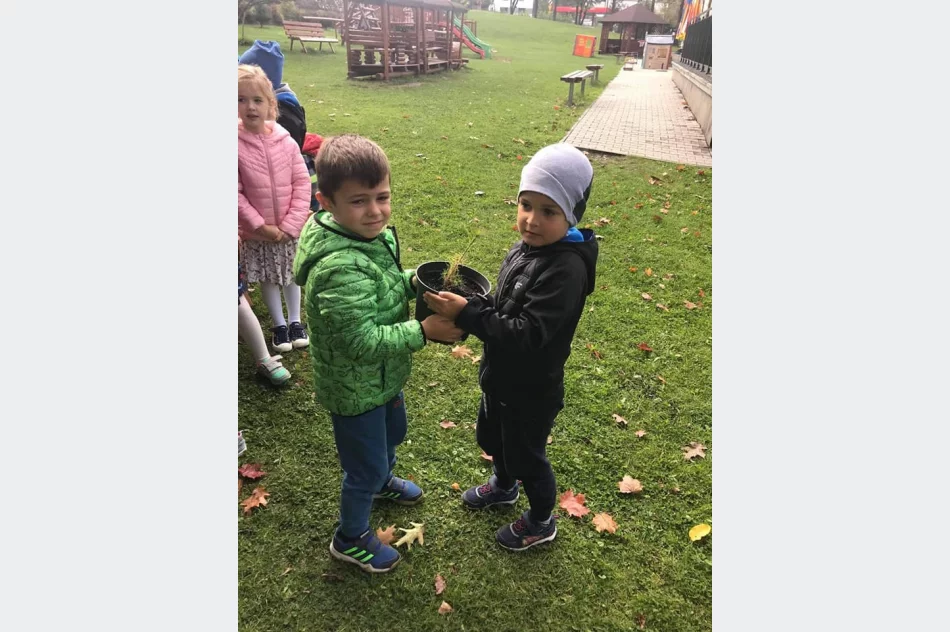 Akcja #sadziMy w Miejskim Przedszkolu nr 1 - zdjęcie 13