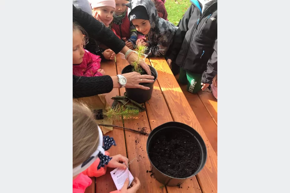 Akcja #sadziMy w Miejskim Przedszkolu nr 1 - zdjęcie 14