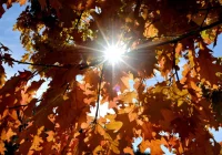 Tygodniowa prognoza pogody: będzie chłodno, ale słonecznie. W górach może spaść śnieg - zdjęcie główne