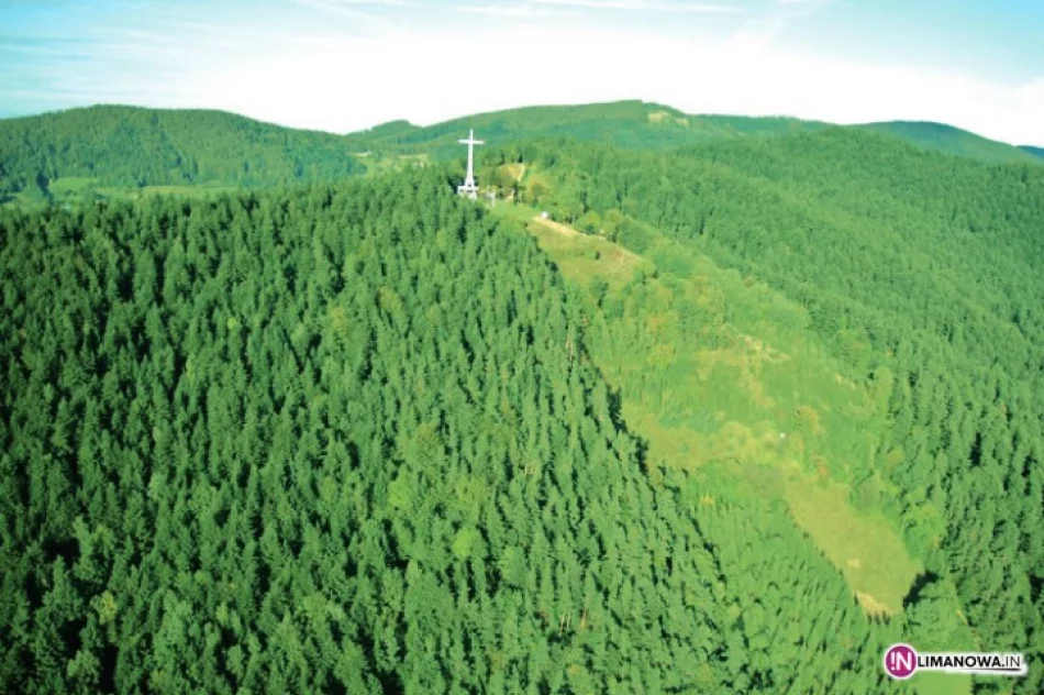 Przetarg w lutym, realizacja od wiosny - zdjęcie 2