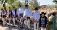 Jesienny redyk w Gorcach - zdjęcie 3