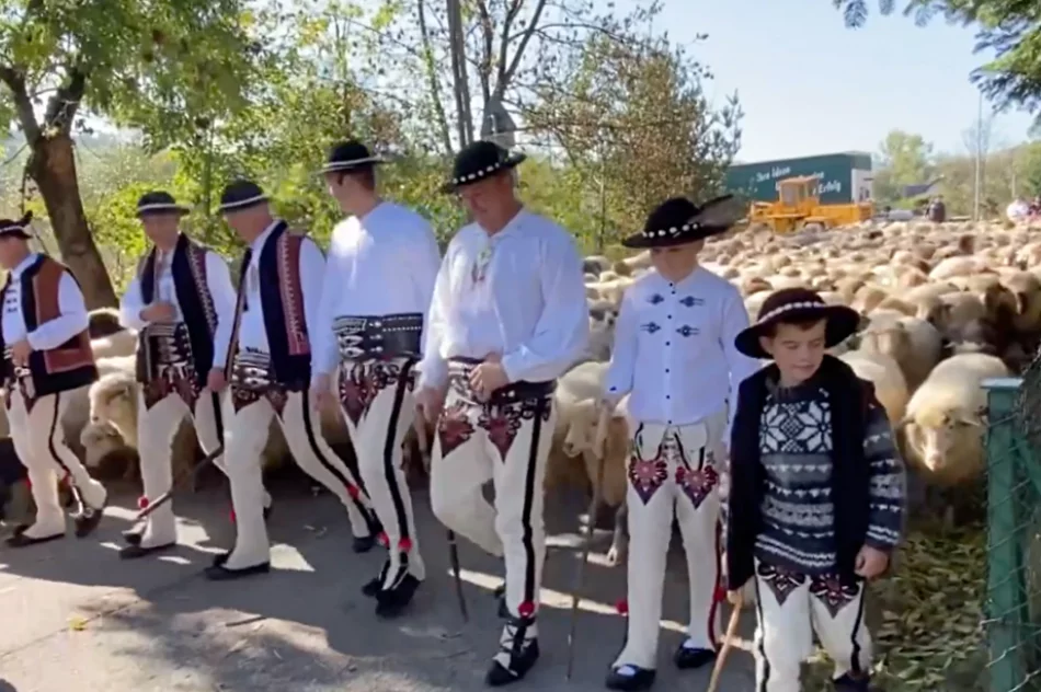 Jesienny redyk w Gorcach - zdjęcie 3