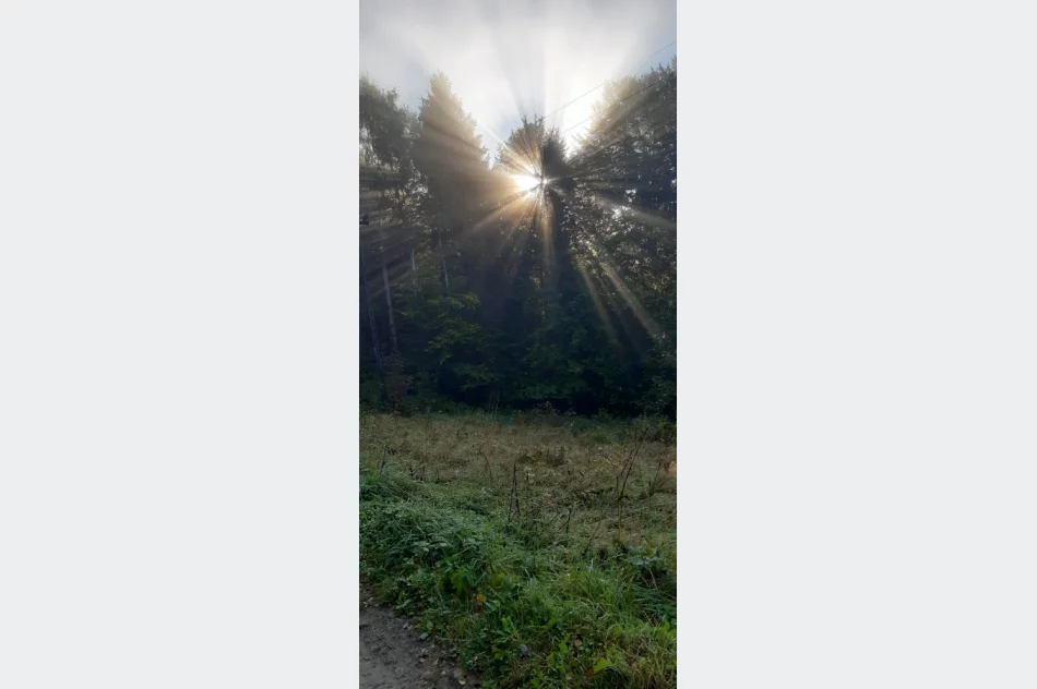 Uczniowie poznawali swoją okolicę - zdjęcie 7