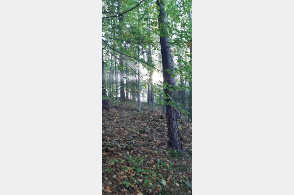 Uczniowie poznawali swoją okolicę - zdjęcie 8