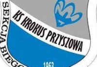 Krokus ponownie z „trójką” na koncie - zdjęcie główne