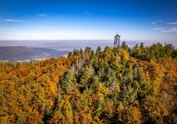 Największa atrakcja wciąż zamknięta. Powodem "niestabilna sytuacja na rynku" - zdjęcie główne