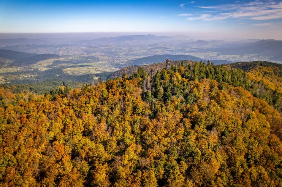 Największa atrakcja wciąż zamknięta. Powodem "niestabilna sytuacja na rynku" - zdjęcie 2