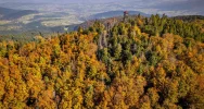 Największa atrakcja wciąż zamknięta. Powodem "niestabilna sytuacja na rynku" - zdjęcie 3